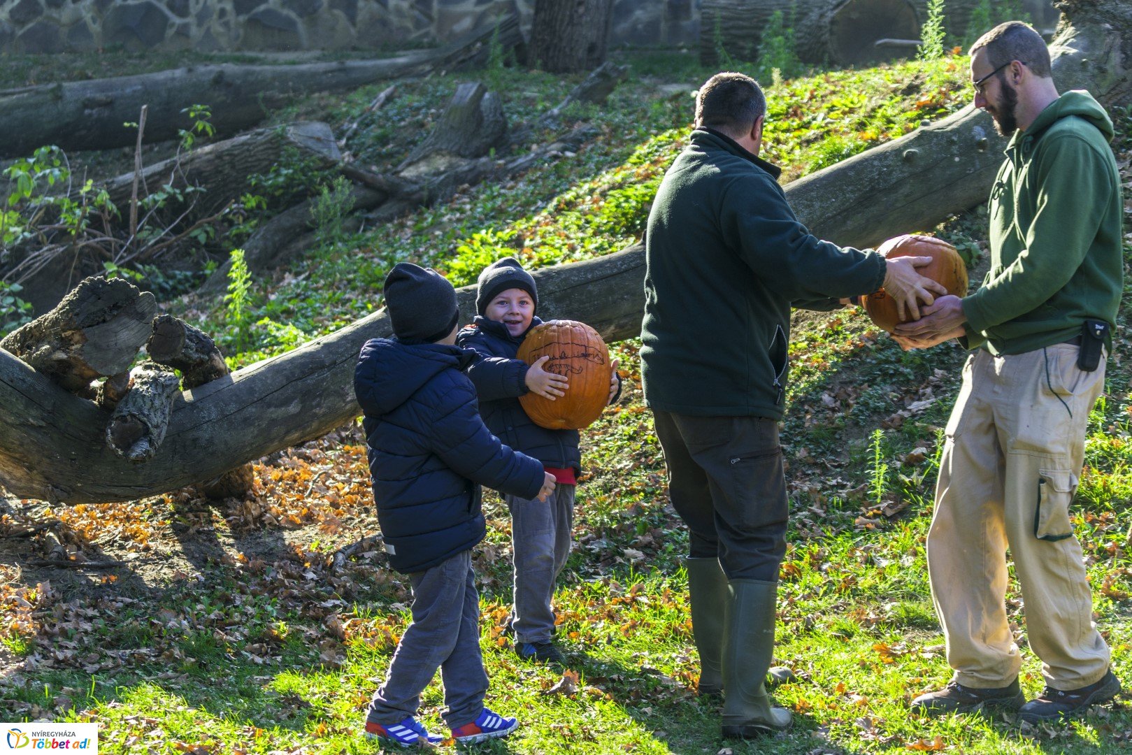 Halloween a Nyíregyházi Állatparkban