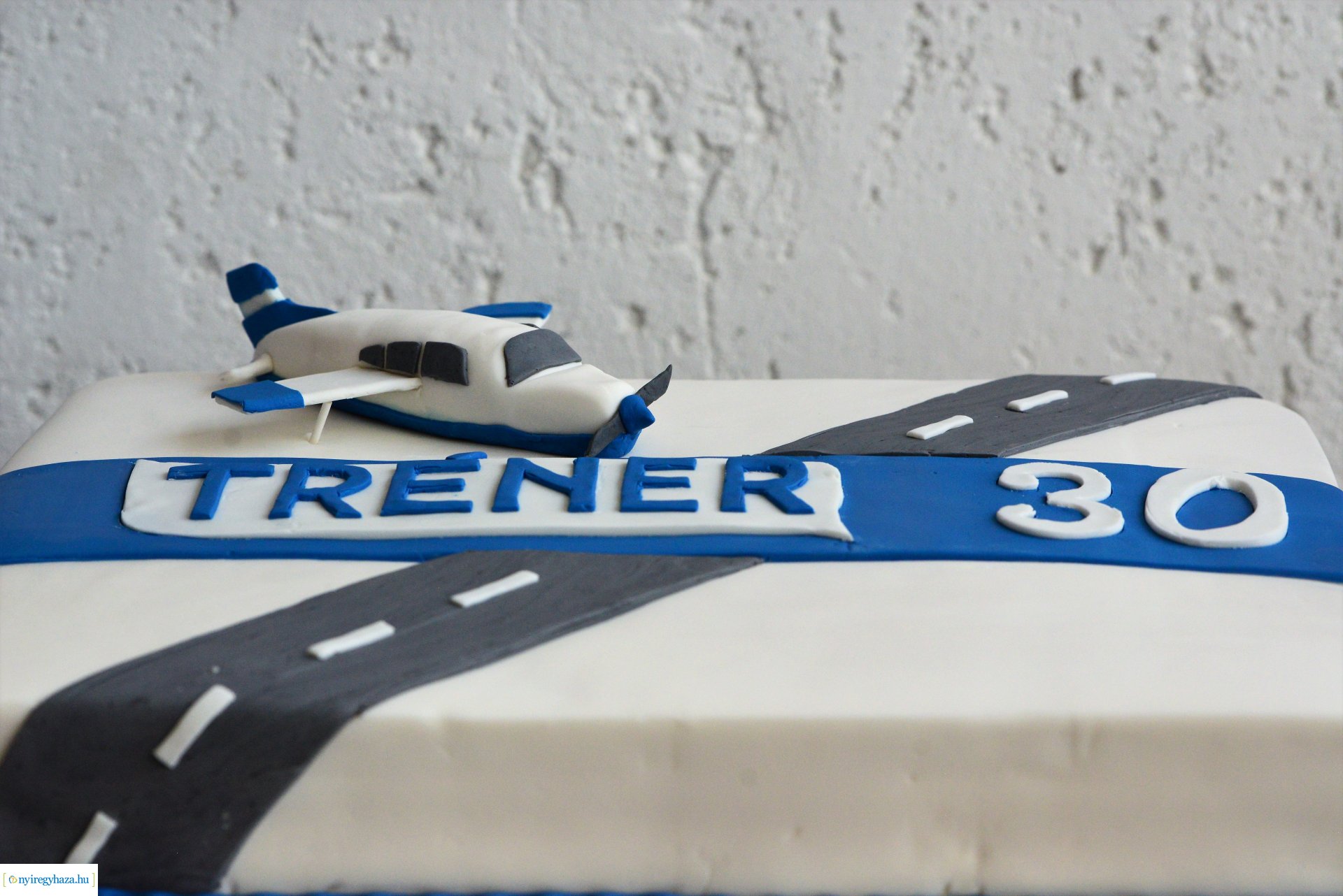 Harminc éves a Tréner Kft.