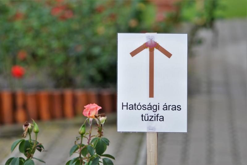 Hatósági áras tűzifa igénylés 