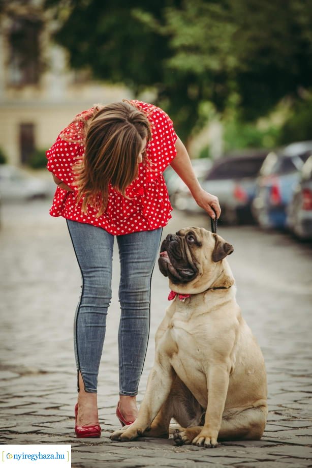 Házi kedvenc fotópályázat-Gróf Andrássy Adolf