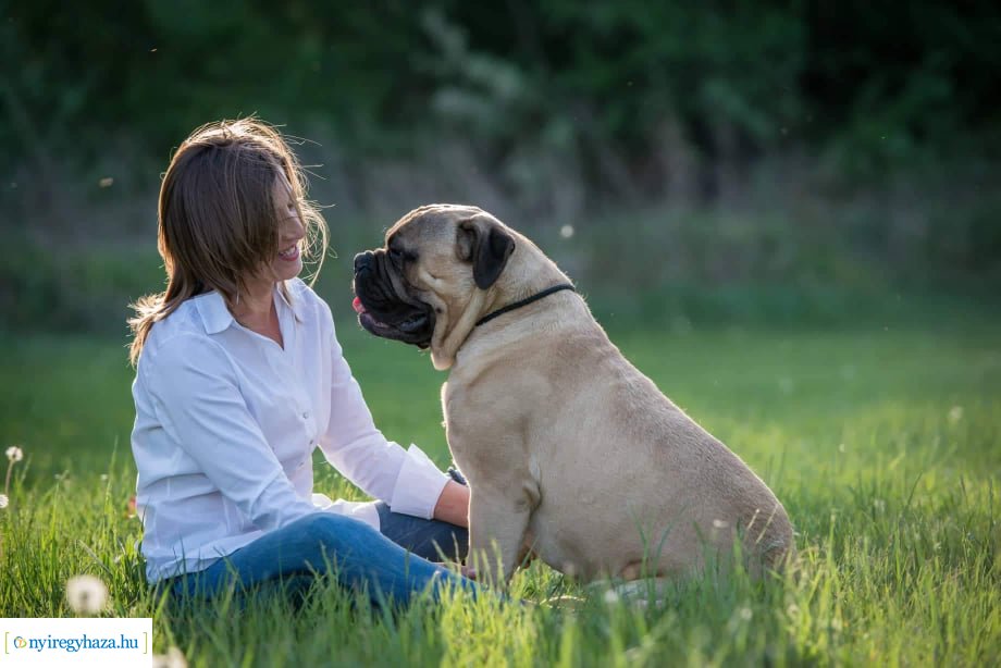 Házi kedvenc fotópályázat-Gróf Andrássy Adolf