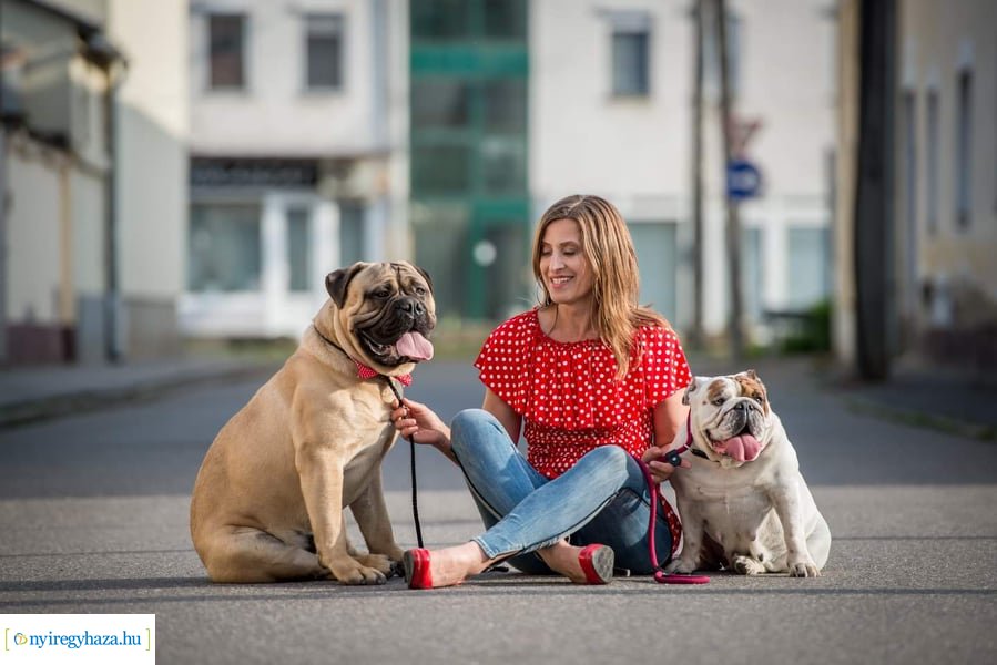 Házi kedvenc fotópályázat-Gróf Andrássy Adolf