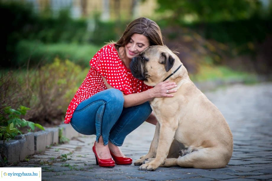 Házi kedvenc fotópályázat-Gróf Andrássy Adolf