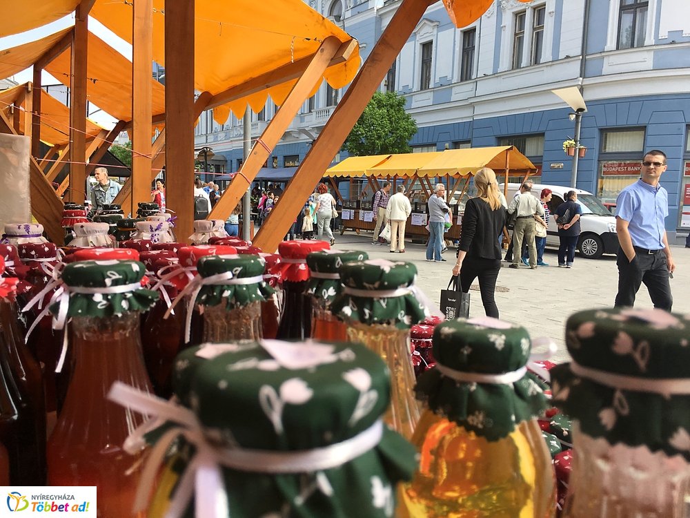 Helló Nyíregyháza! 2019 délelőtti pillanatok