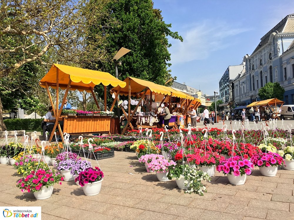 Helló Nyíregyháza! 2019 délelőtti pillanatok