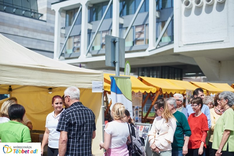 Helló Nyíregyháza! 2019 délutáni pillanatok