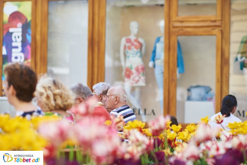 Helló Nyíregyháza! 2019 délutáni pillanatok