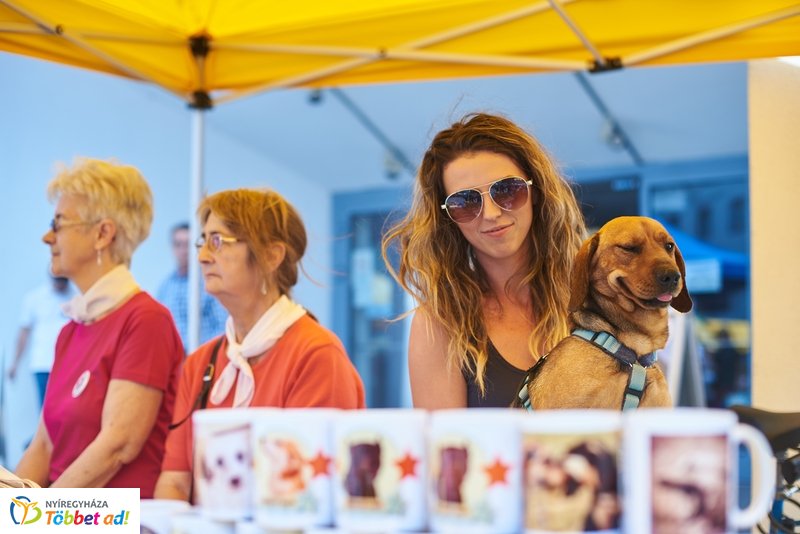 Helló Nyíregyháza! 2019 délutáni pillanatok