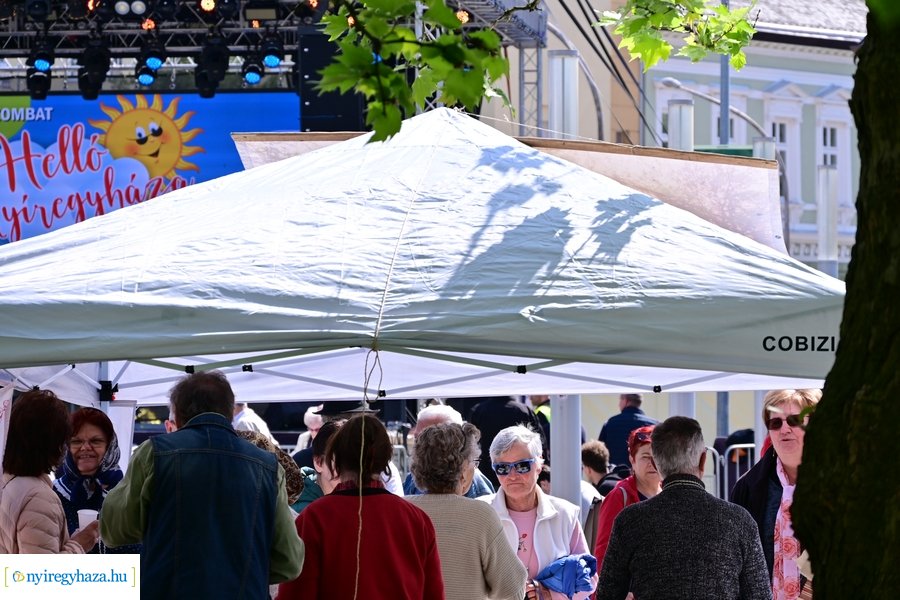 Helló Nyíregyháza! 2024 - délelőtt 
