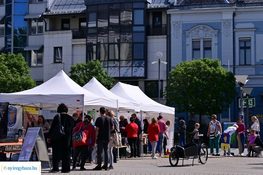 Helló Nyíregyháza! 2024 - délelőtt 