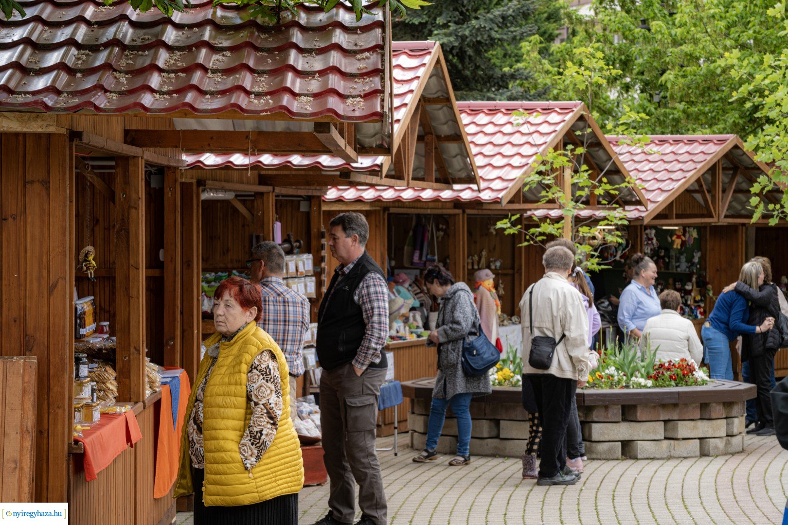 Hello Nyíregyháza! 2024 - délután