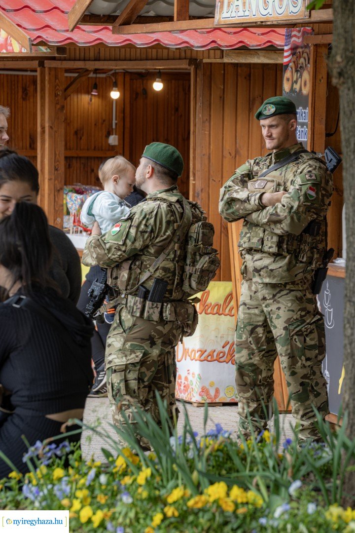 Hello Nyíregyháza! 2024 - délután