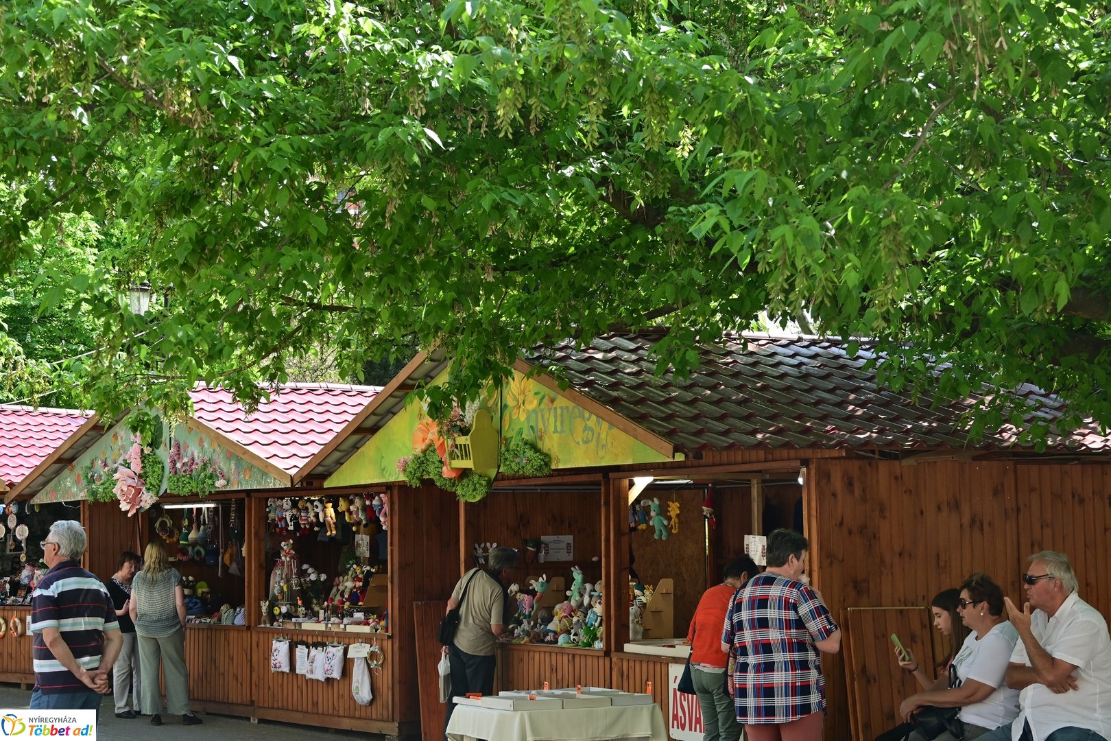 Helló Nyíregyháza! - 2025 - délelőtti pillanatok