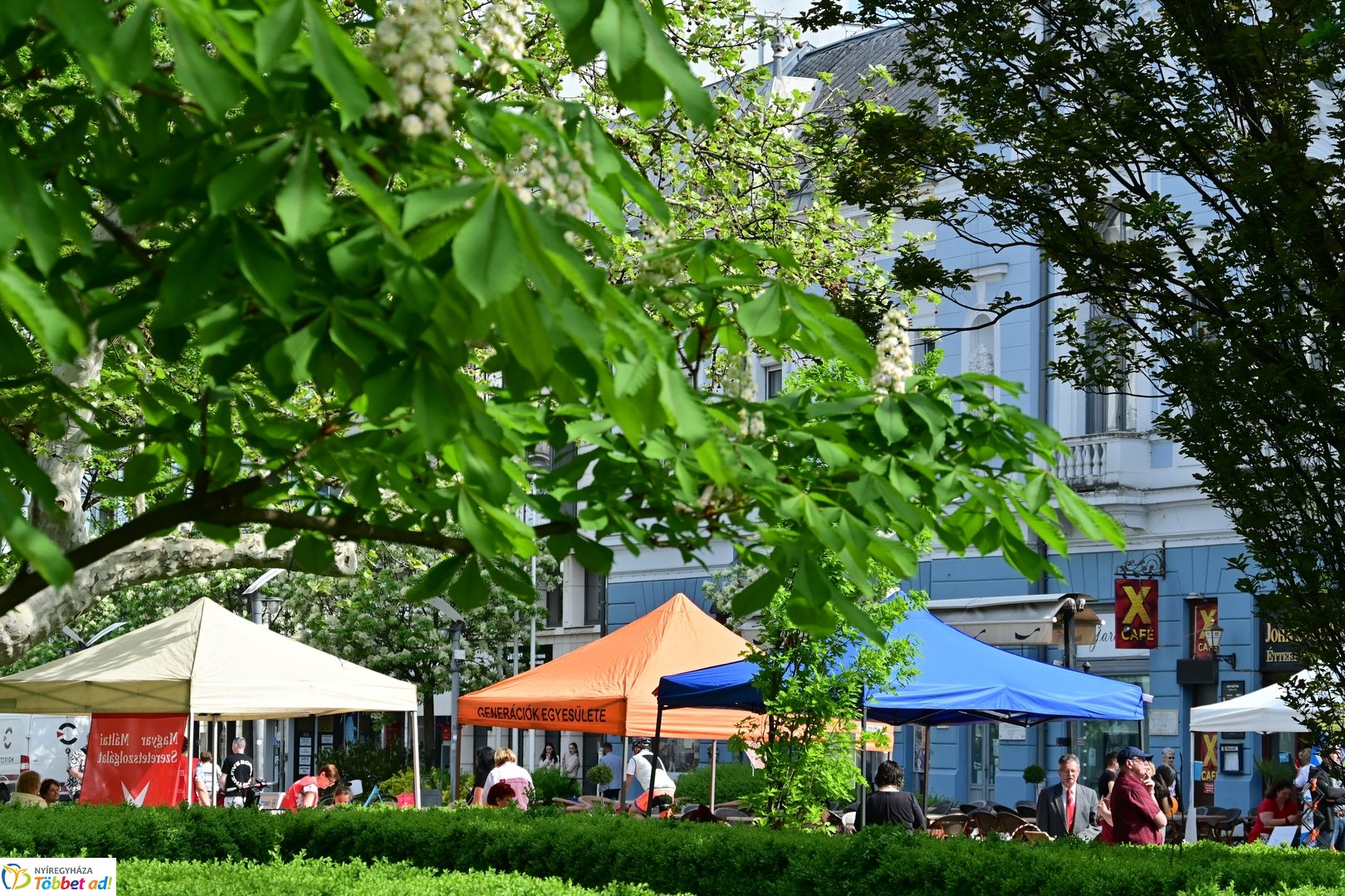 Helló Nyíregyháza! - 2025 - délelőtti pillanatok