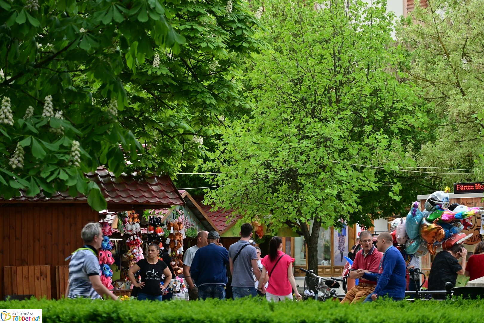 Helló Nyíregyháza! - 2025 - délutáni pillanatok