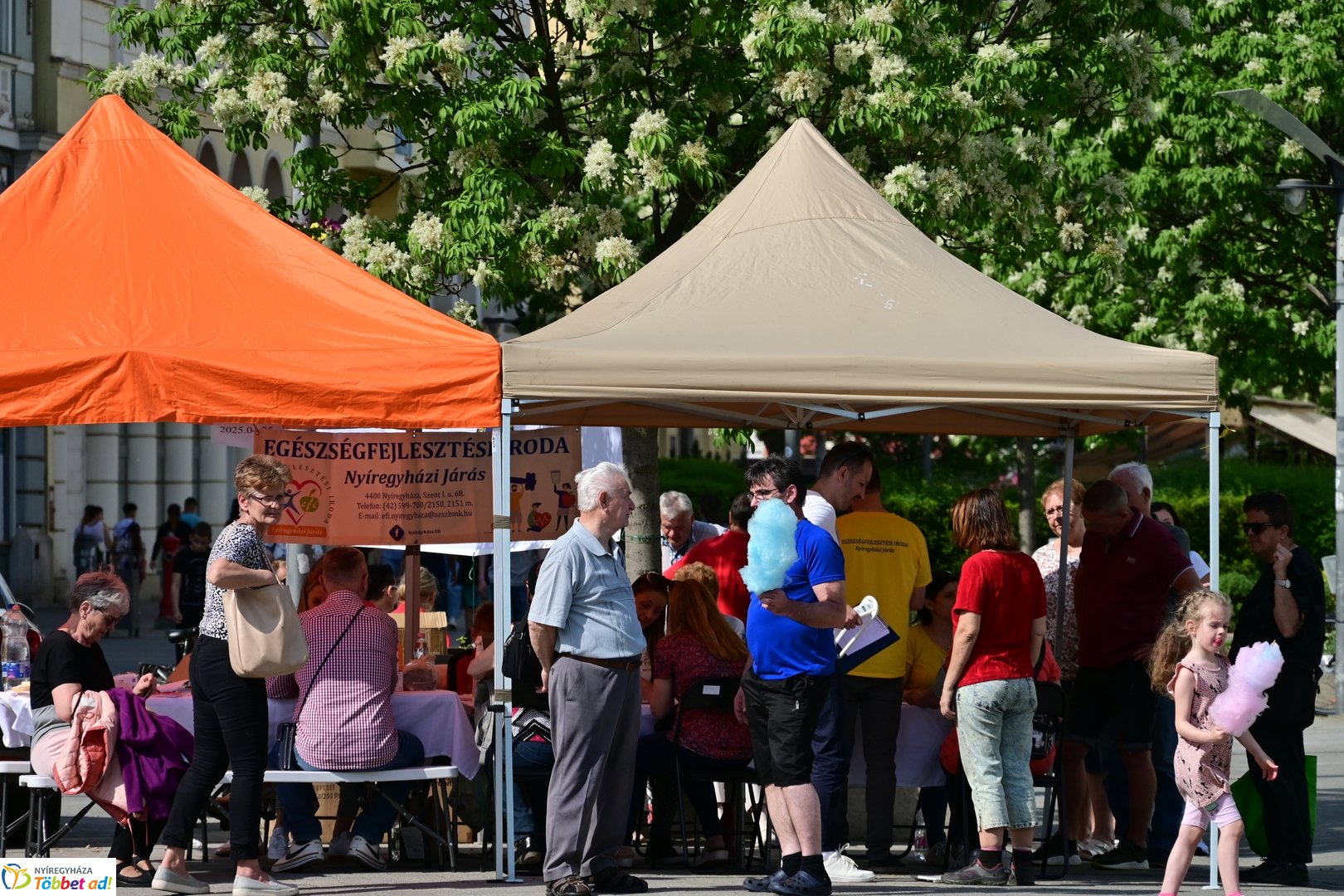 Helló Nyíregyháza! - 2025 - délutáni pillanatok