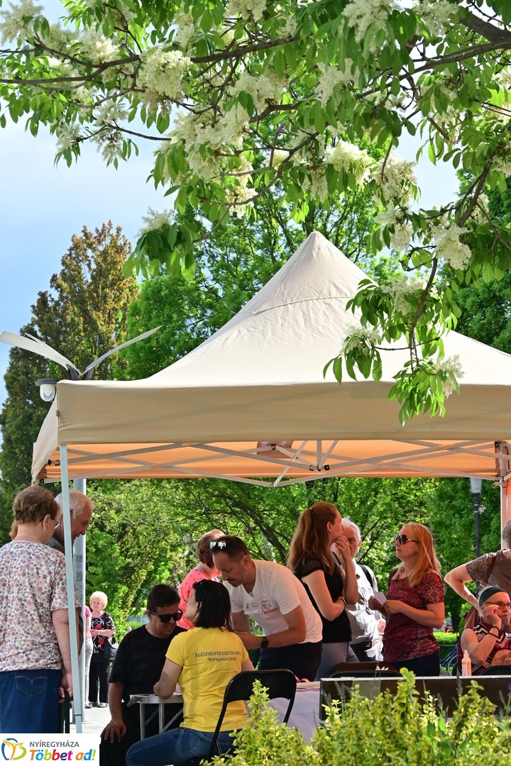 Helló Nyíregyháza! - 2025 - délutáni pillanatok