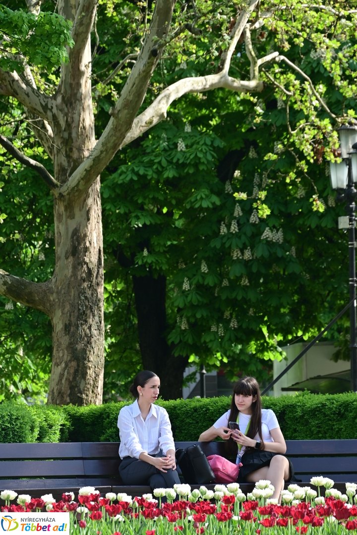 Helló Nyíregyháza! - 2025 - délutáni pillanatok