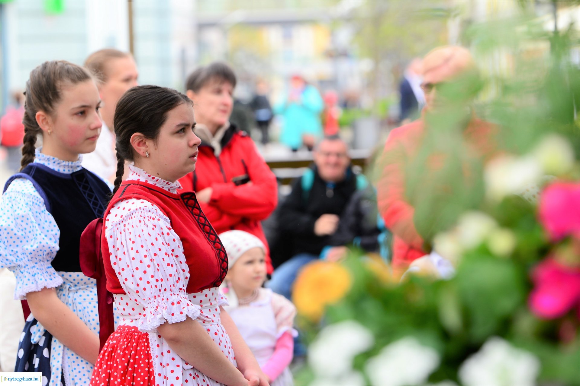 Helló Nyíregyháza! - délelőtti programok