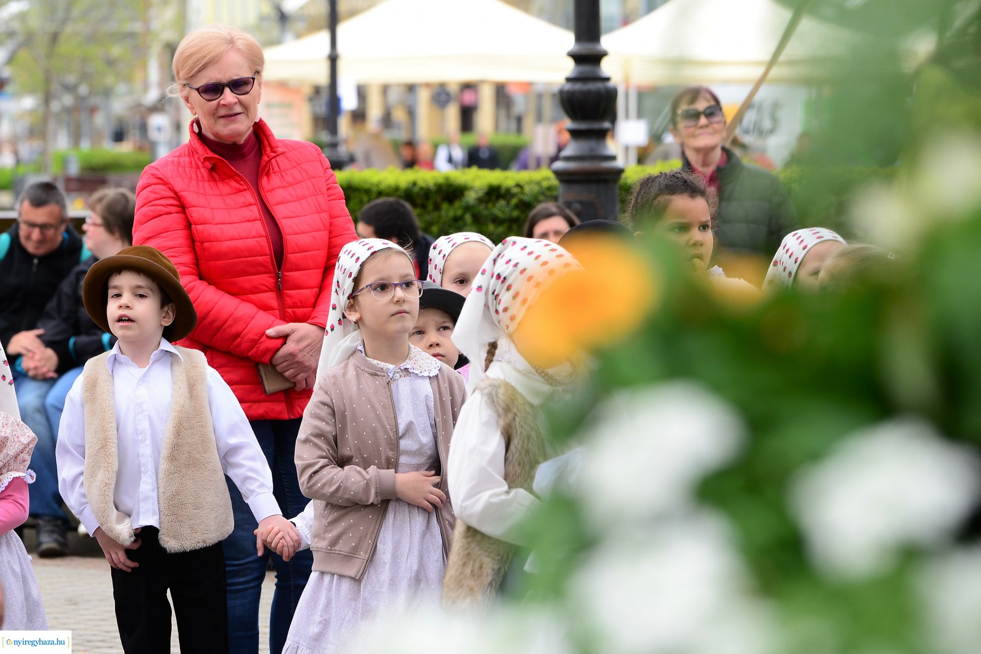 Helló Nyíregyháza! - délelőtti programok