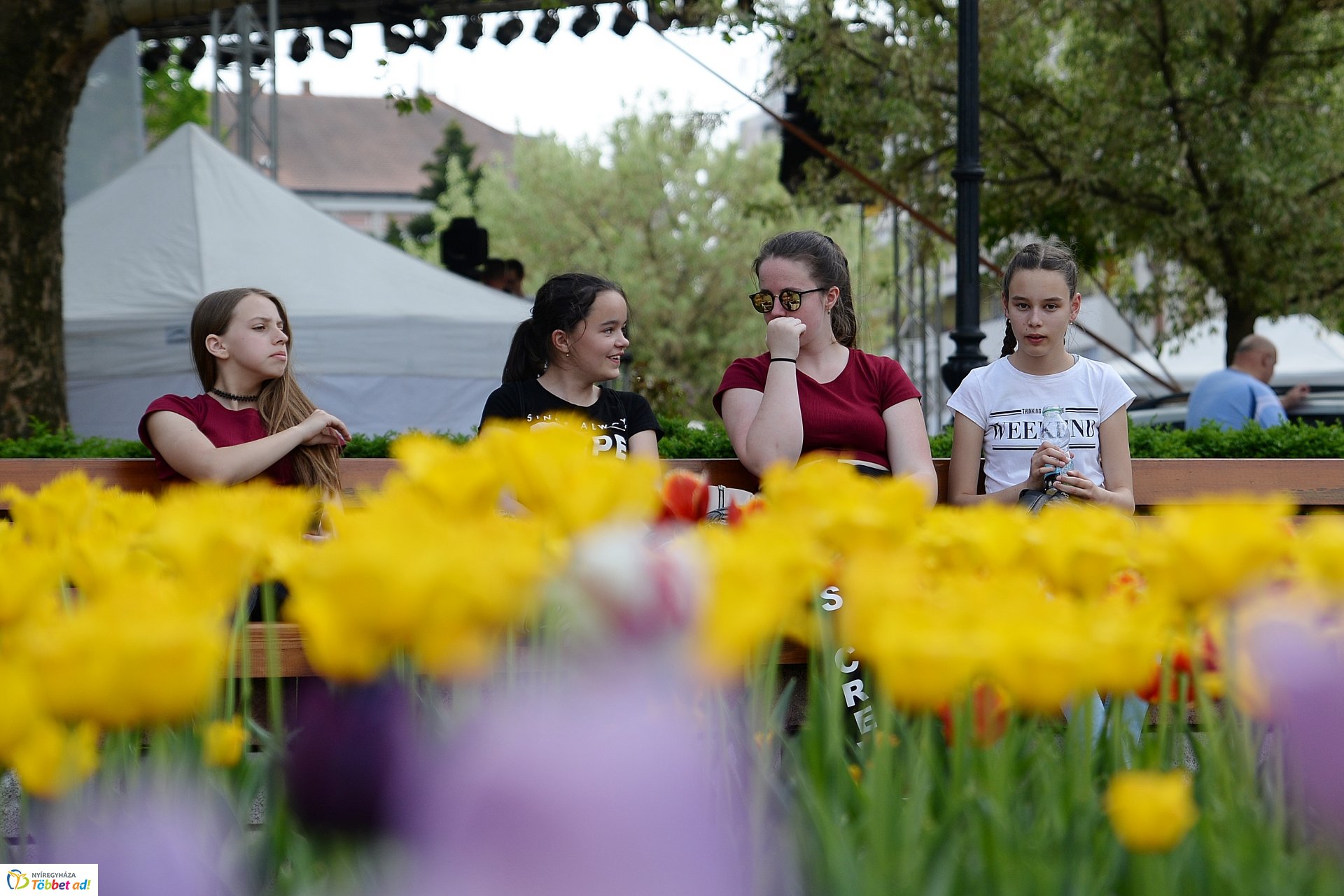 Helló Nyíregyháza! -  délután a belvárosban