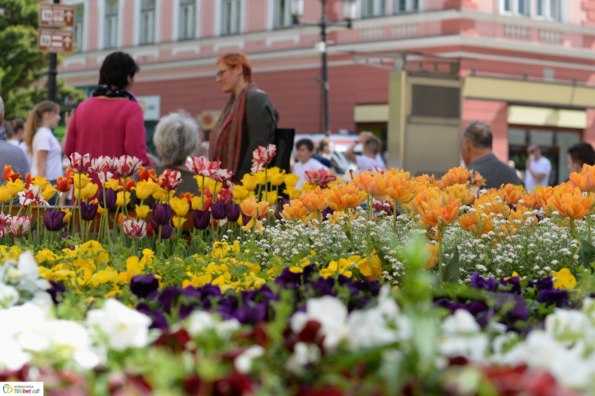 Helló Nyíregyháza! -  délután a belvárosban