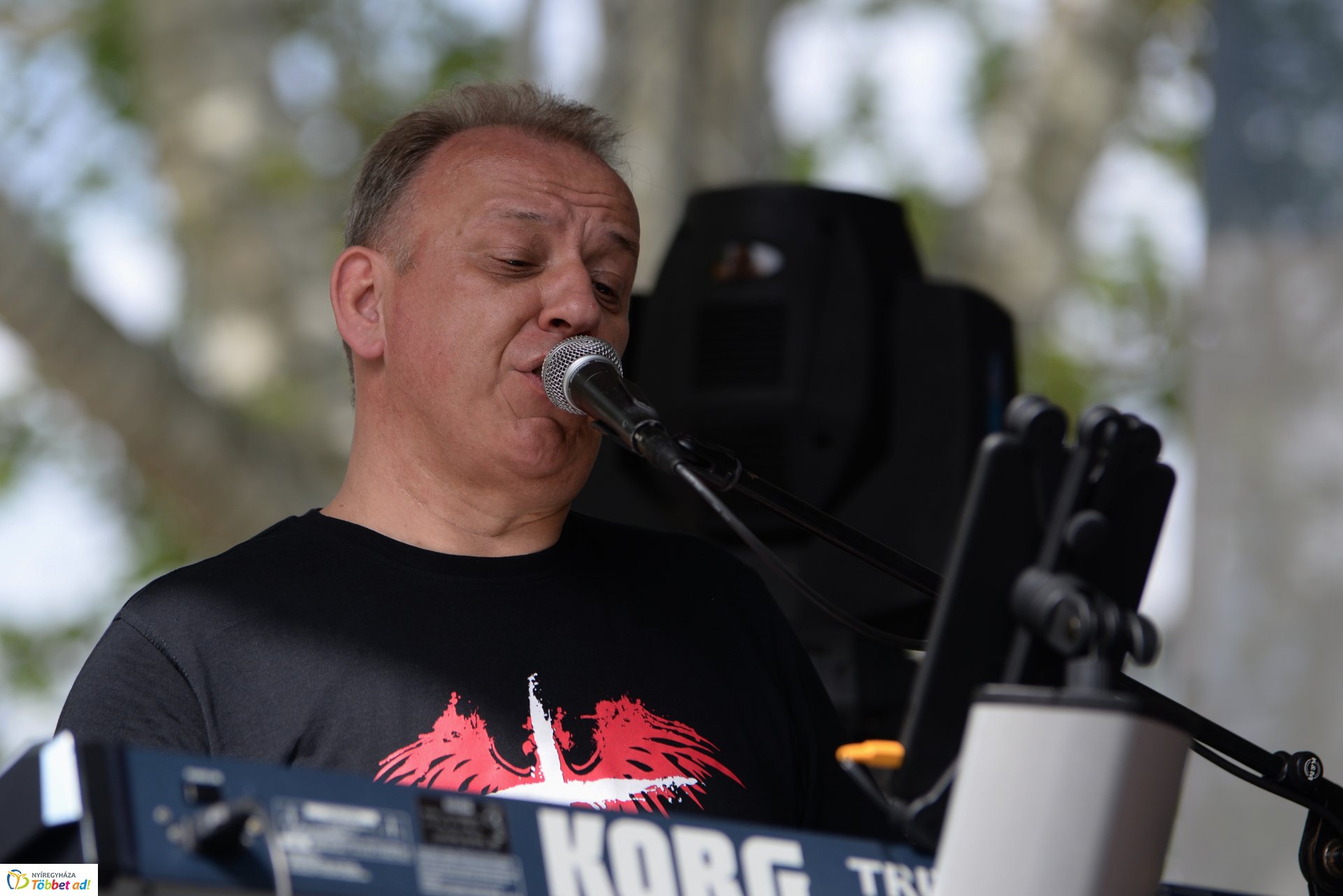 Helló Nyíregyháza! délutáni programok