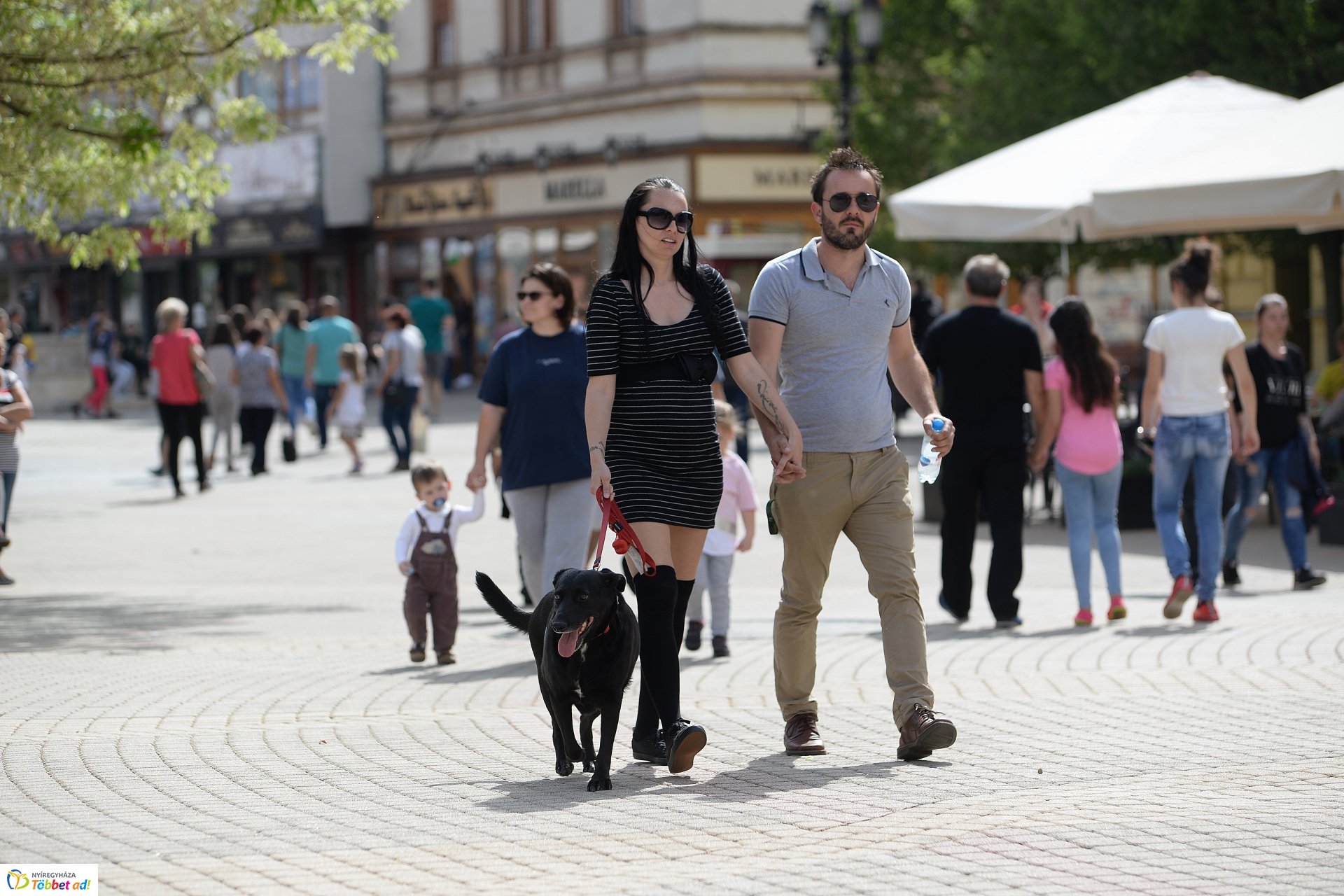 Helló Nyíregyháza! délutáni programok