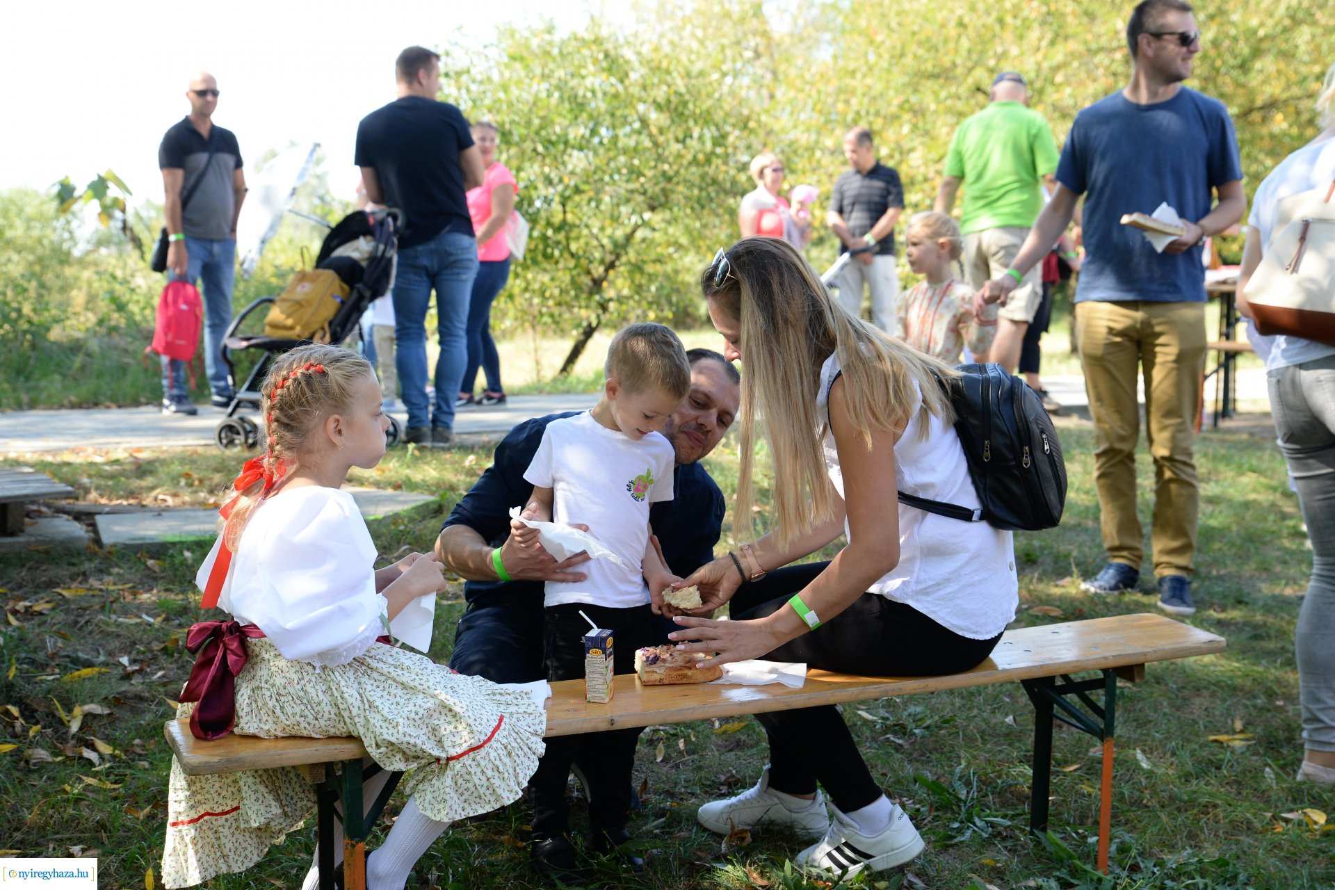 Helló Pálinka! Fesztivál a Múzeumfaluban