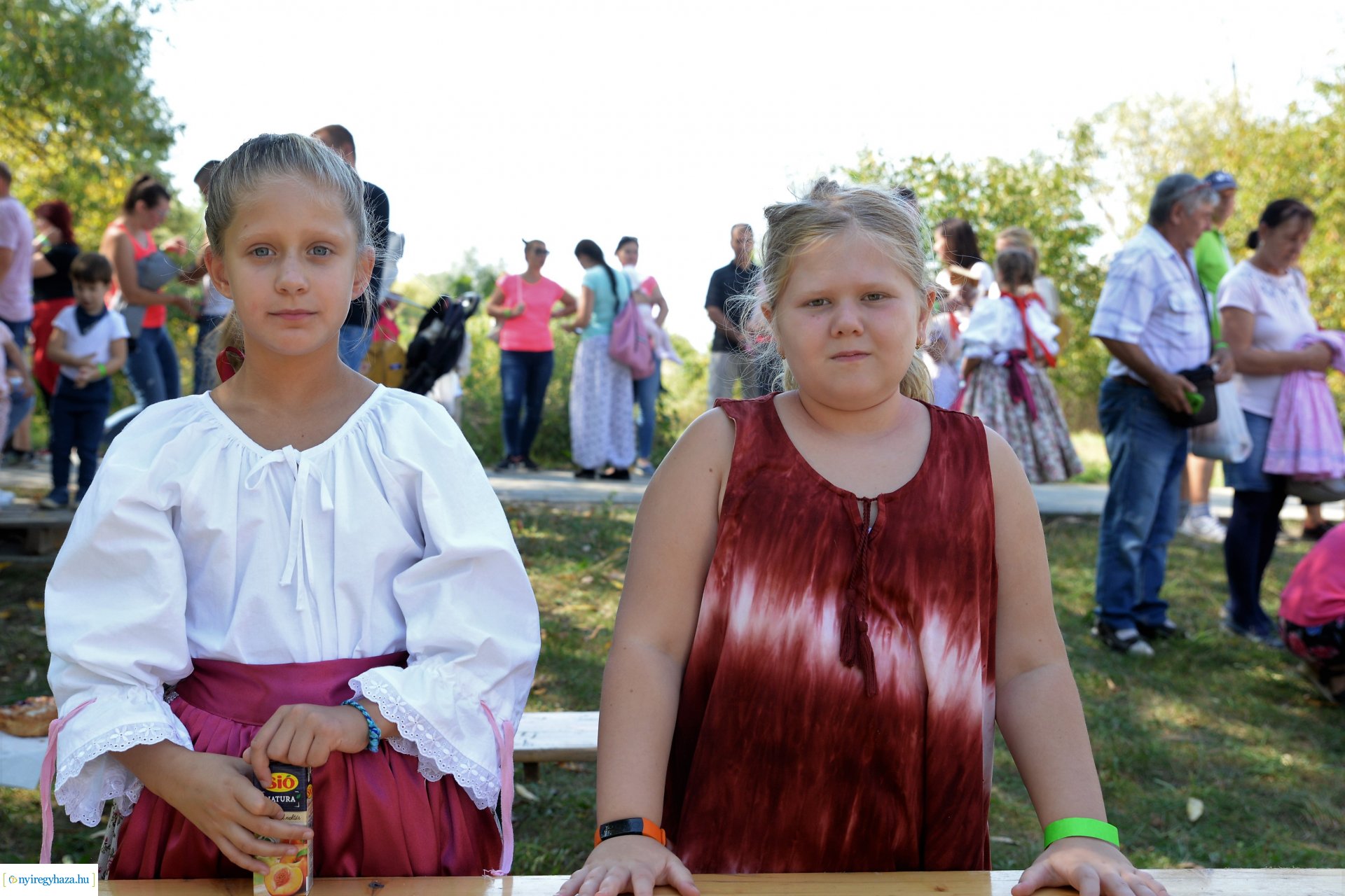 Helló Pálinka! Fesztivál a Múzeumfaluban