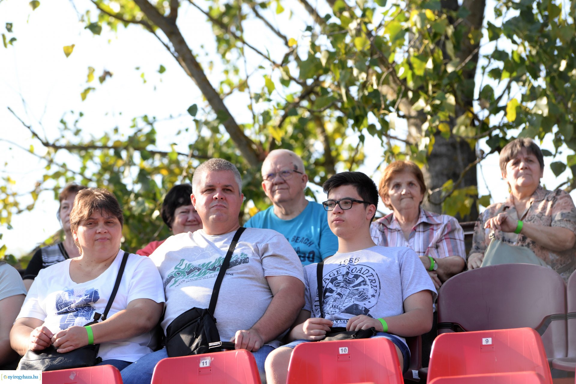 Helló Pálinka! Fesztivál a Múzeumfaluban