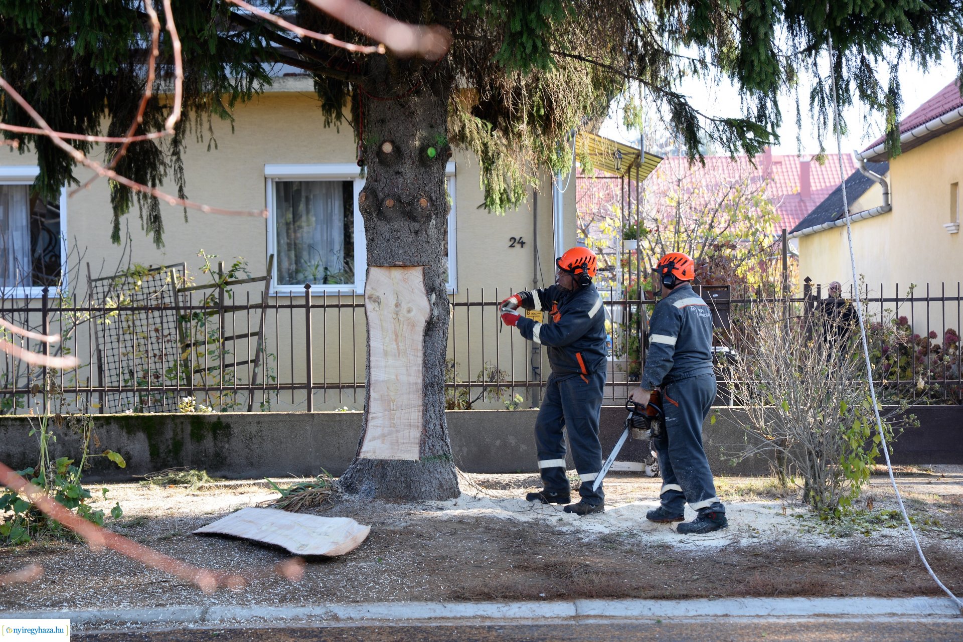 Helyére került a karácsonyfa a Kossuth téren