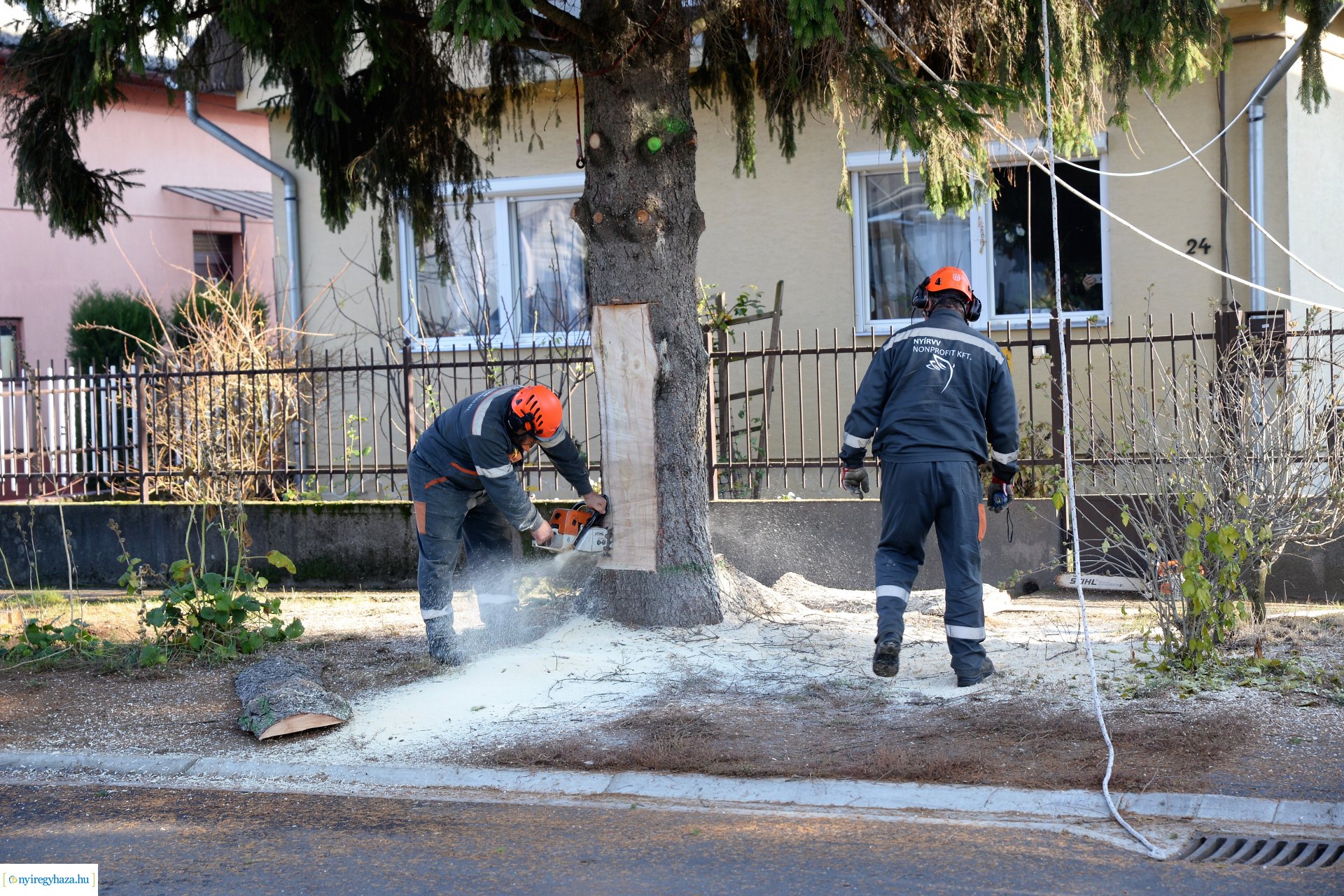 Helyére került a karácsonyfa a Kossuth téren
