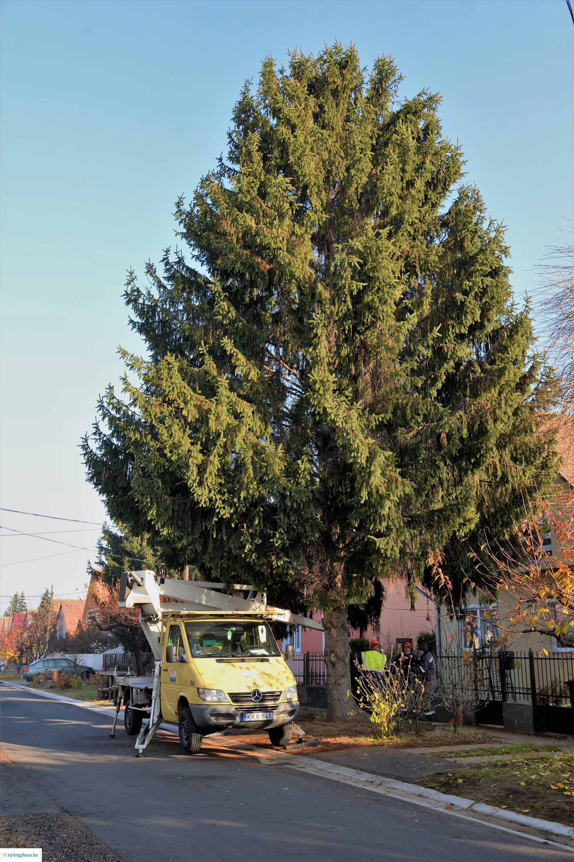 Helyére került a karácsonyfa a Kossuth téren