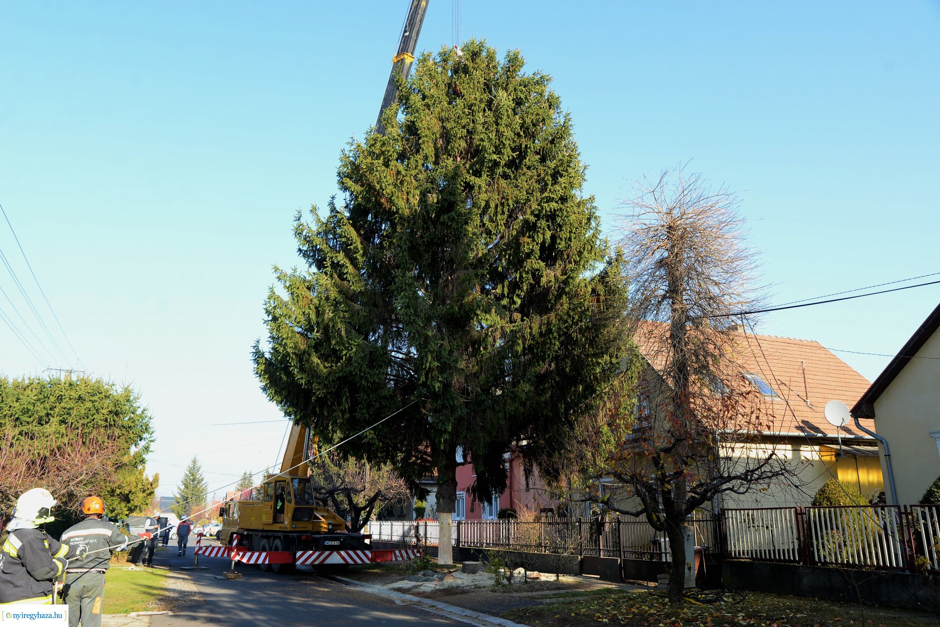 Helyére került a karácsonyfa a Kossuth téren