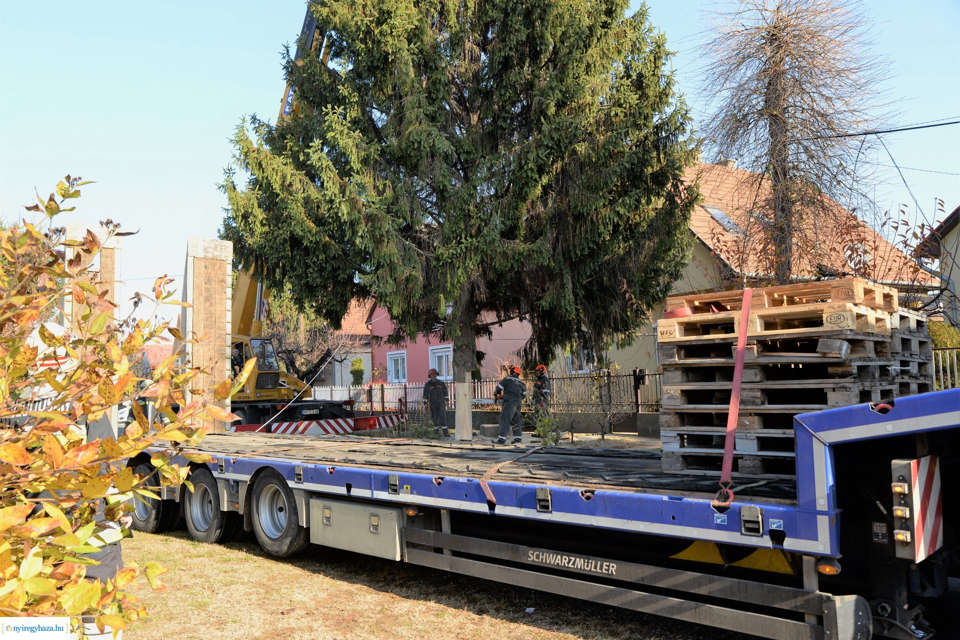 Helyére került a karácsonyfa a Kossuth téren