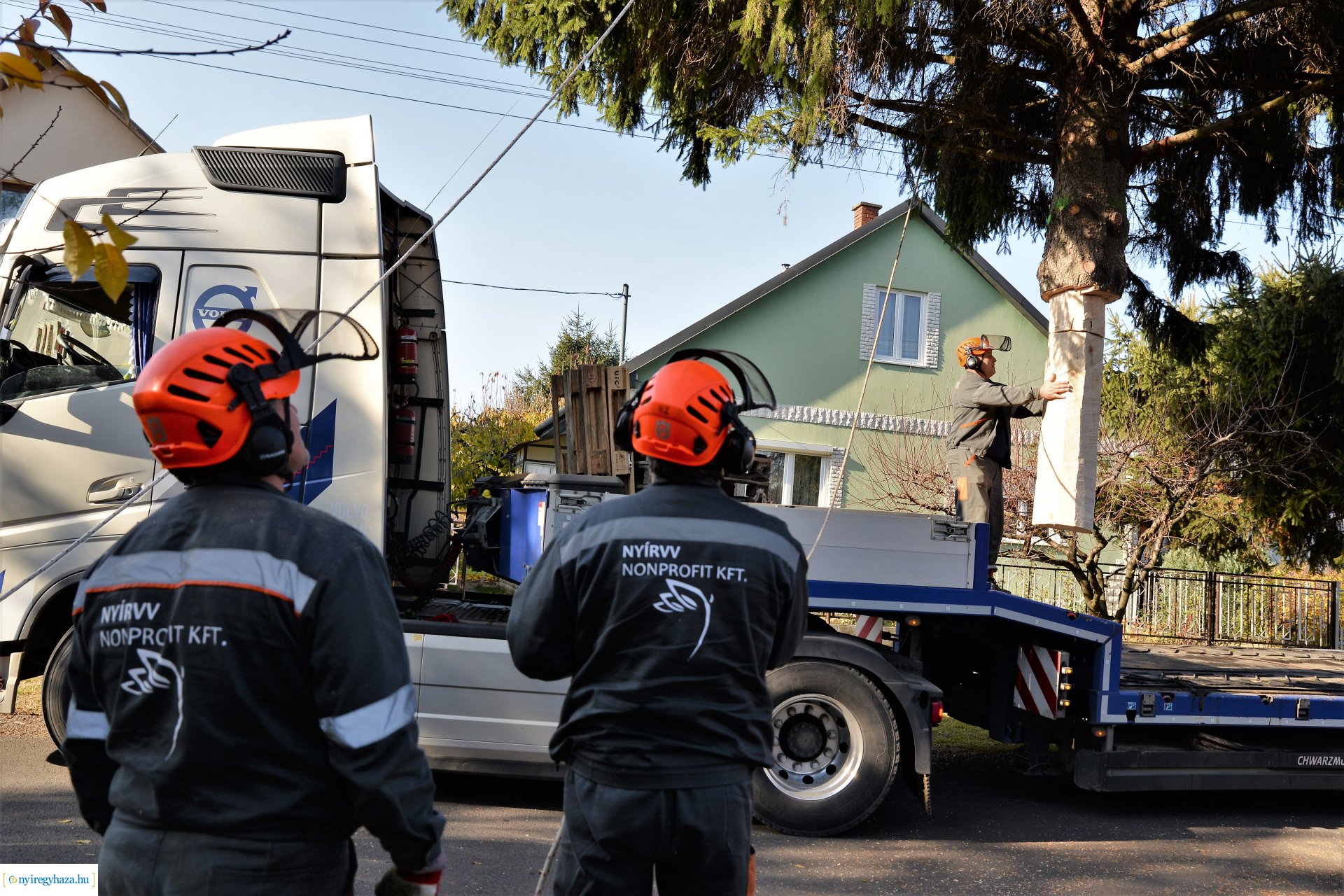 Helyére került a karácsonyfa a Kossuth téren