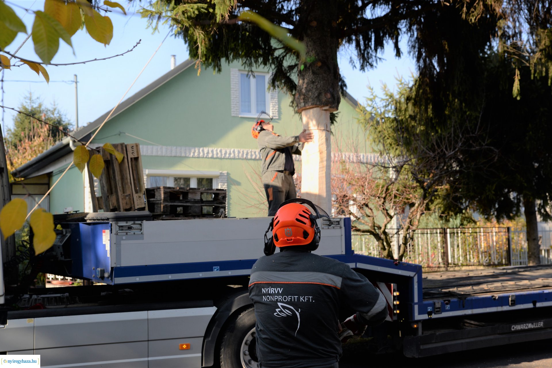 Helyére került a karácsonyfa a Kossuth téren