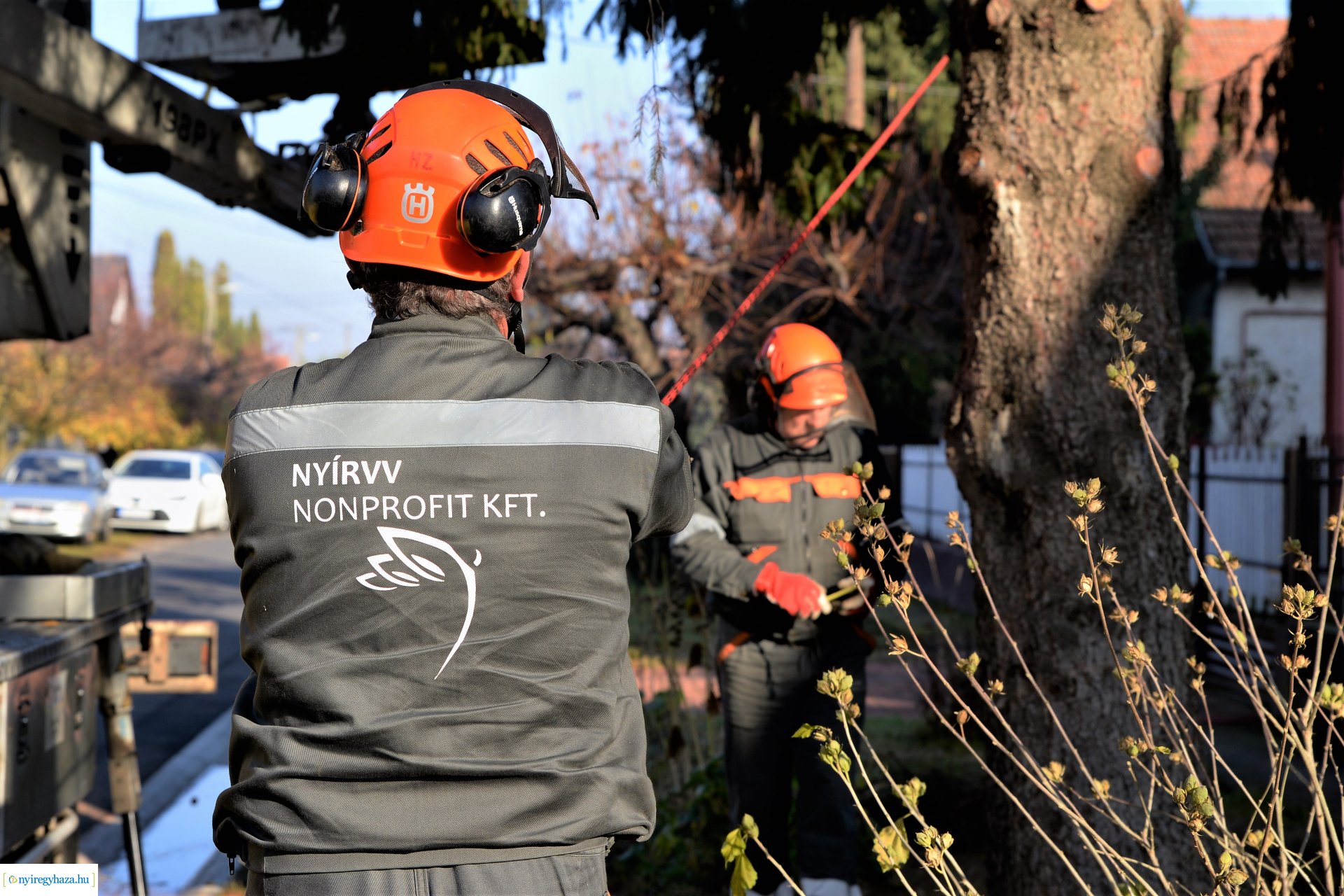 Helyére került a karácsonyfa a Kossuth téren