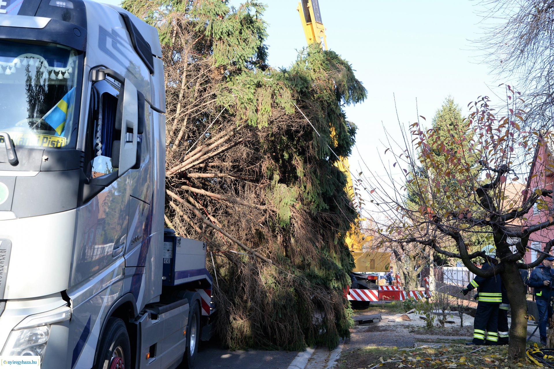 Helyére került a karácsonyfa a Kossuth téren
