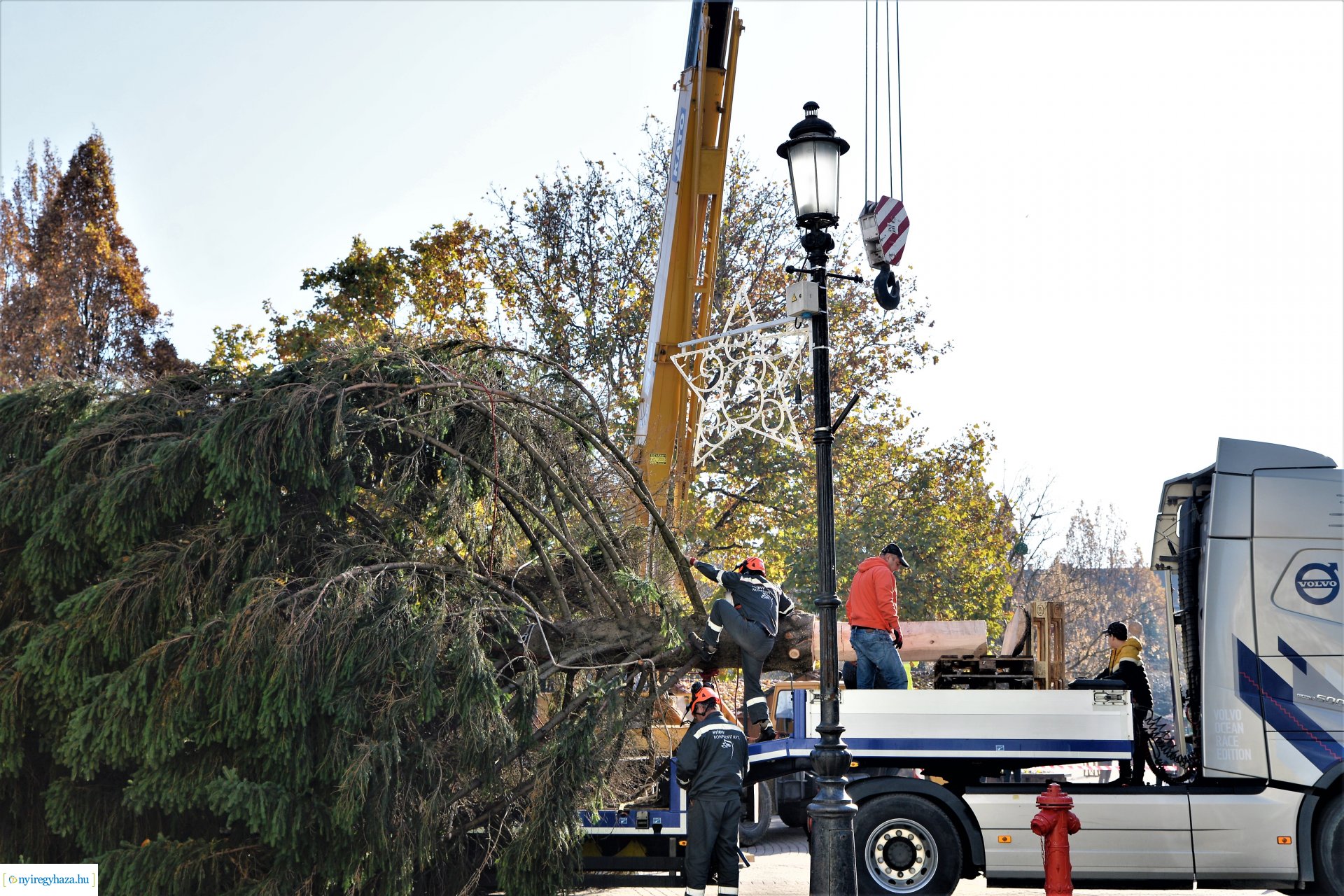 Helyére került a karácsonyfa a Kossuth téren