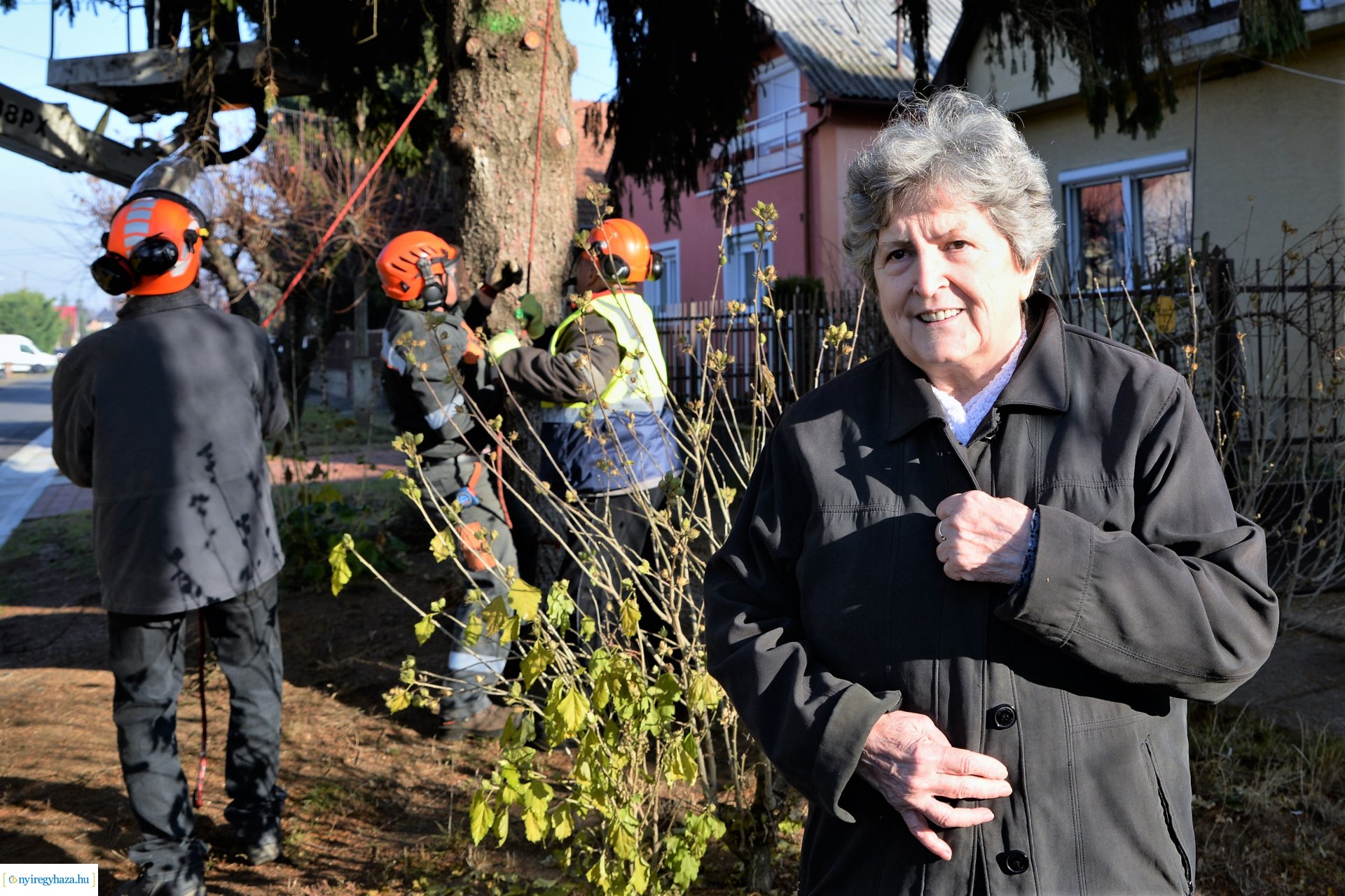 Helyére került a karácsonyfa a Kossuth téren