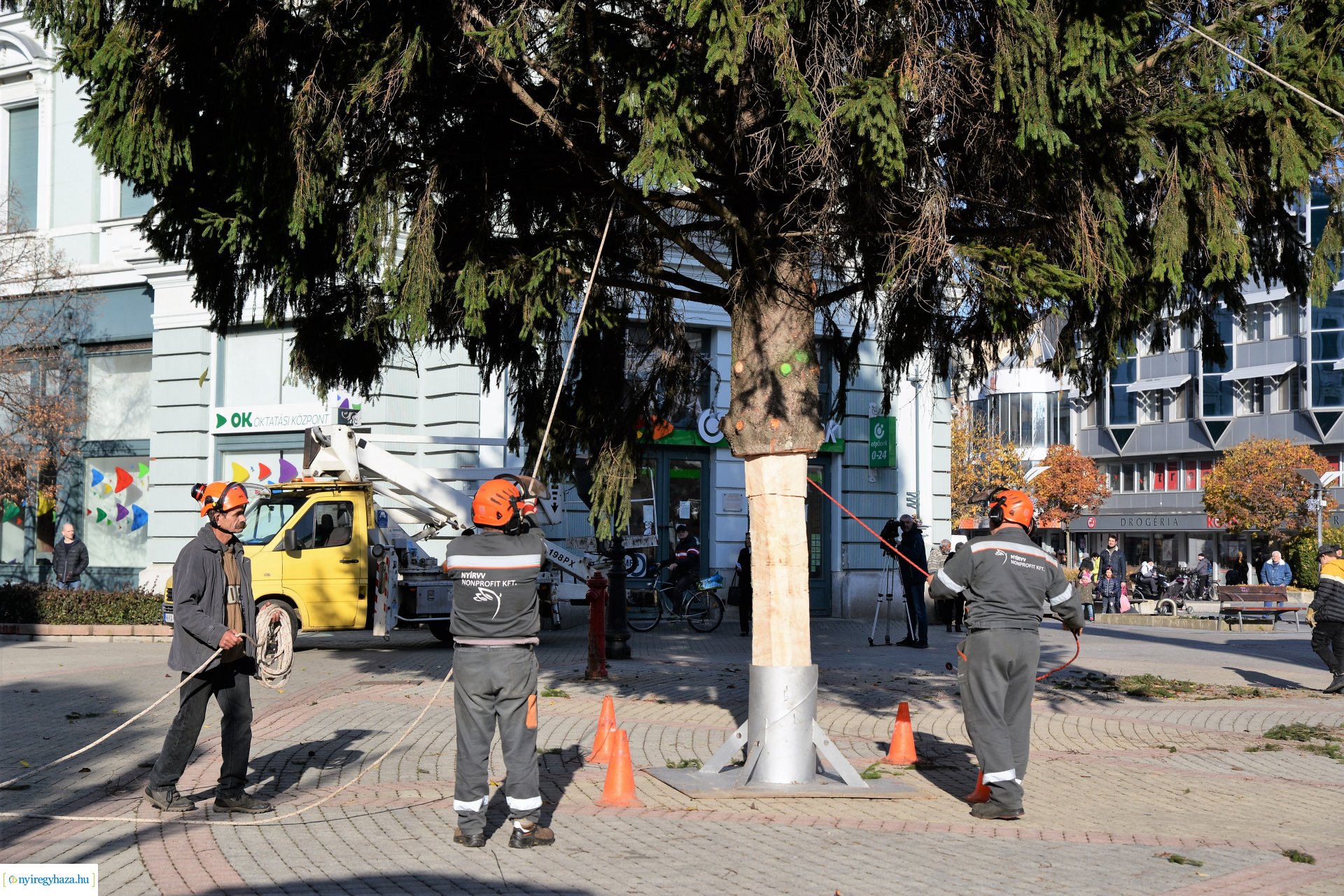 Helyére került a karácsonyfa a Kossuth téren