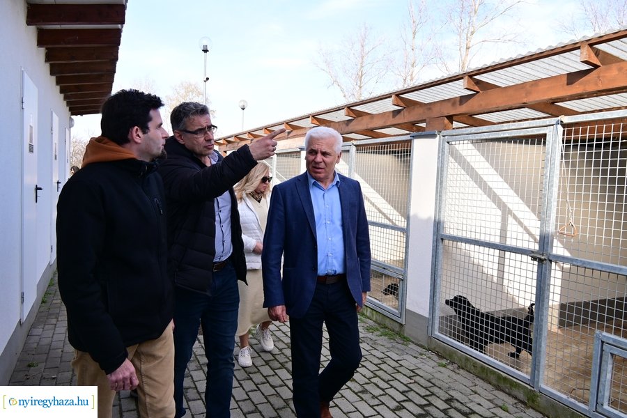 Helyszíni bejárás a Nyíregyházi Állategészségügyi telepen