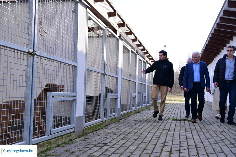 Helyszíni bejárás a Nyíregyházi Állategészségügyi telepen