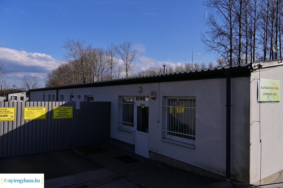 Helyszíni bejárás a Nyíregyházi Állategészségügyi telepen