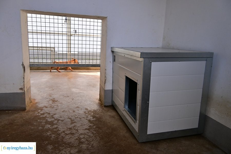 Helyszíni bejárás a Nyíregyházi Állategészségügyi telepen