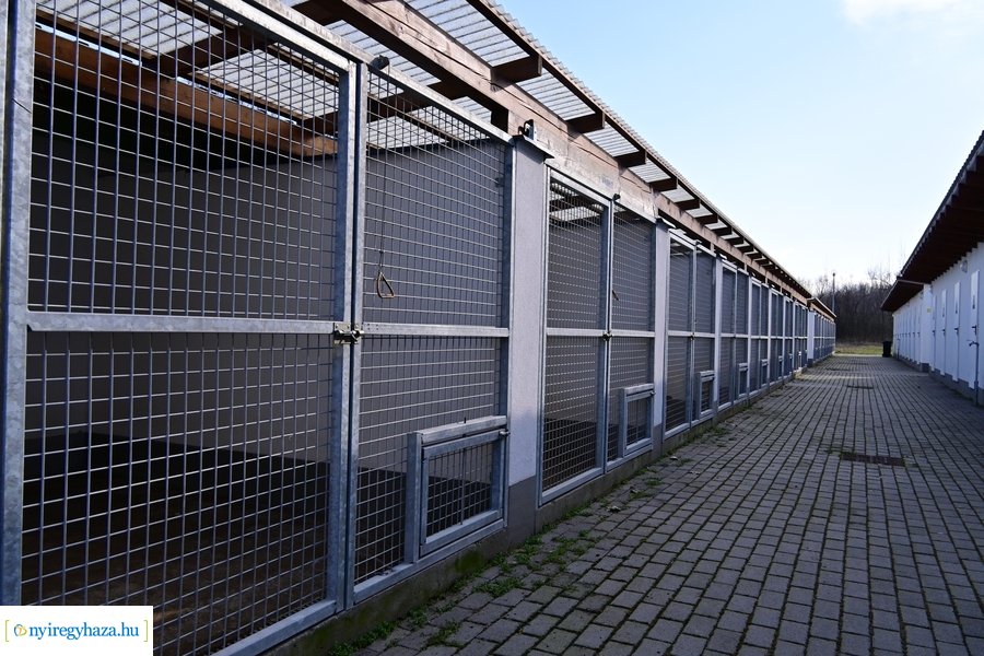 Helyszíni bejárás a Nyíregyházi Állategészségügyi telepen