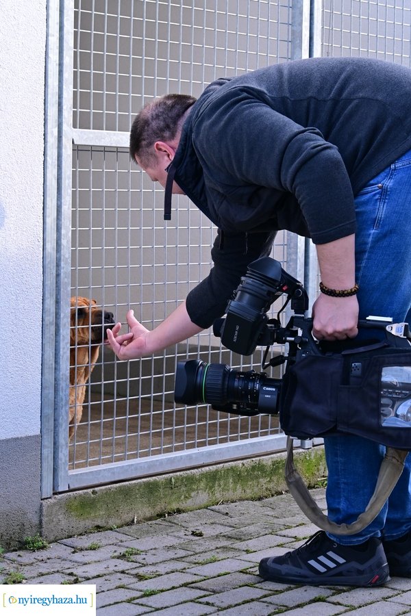 Helyszíni bejárás a Nyíregyházi Állategészségügyi telepen