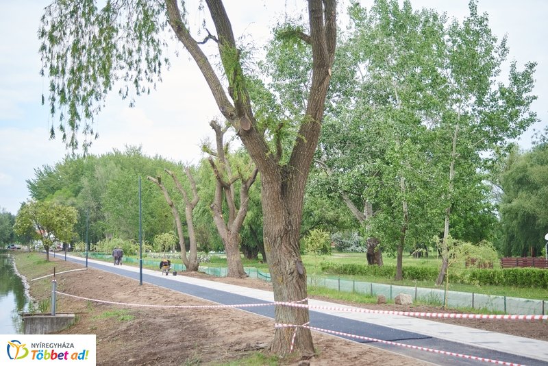 Helyszíni szemle a Bujtoson